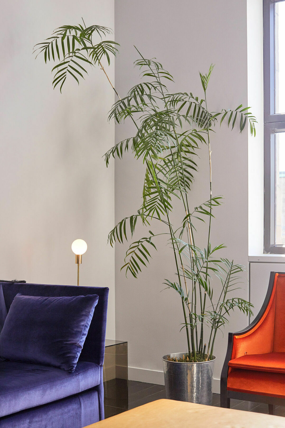 Hotel St Paul, Montreal, A Member Of Design Hotels Nội địa bức ảnh