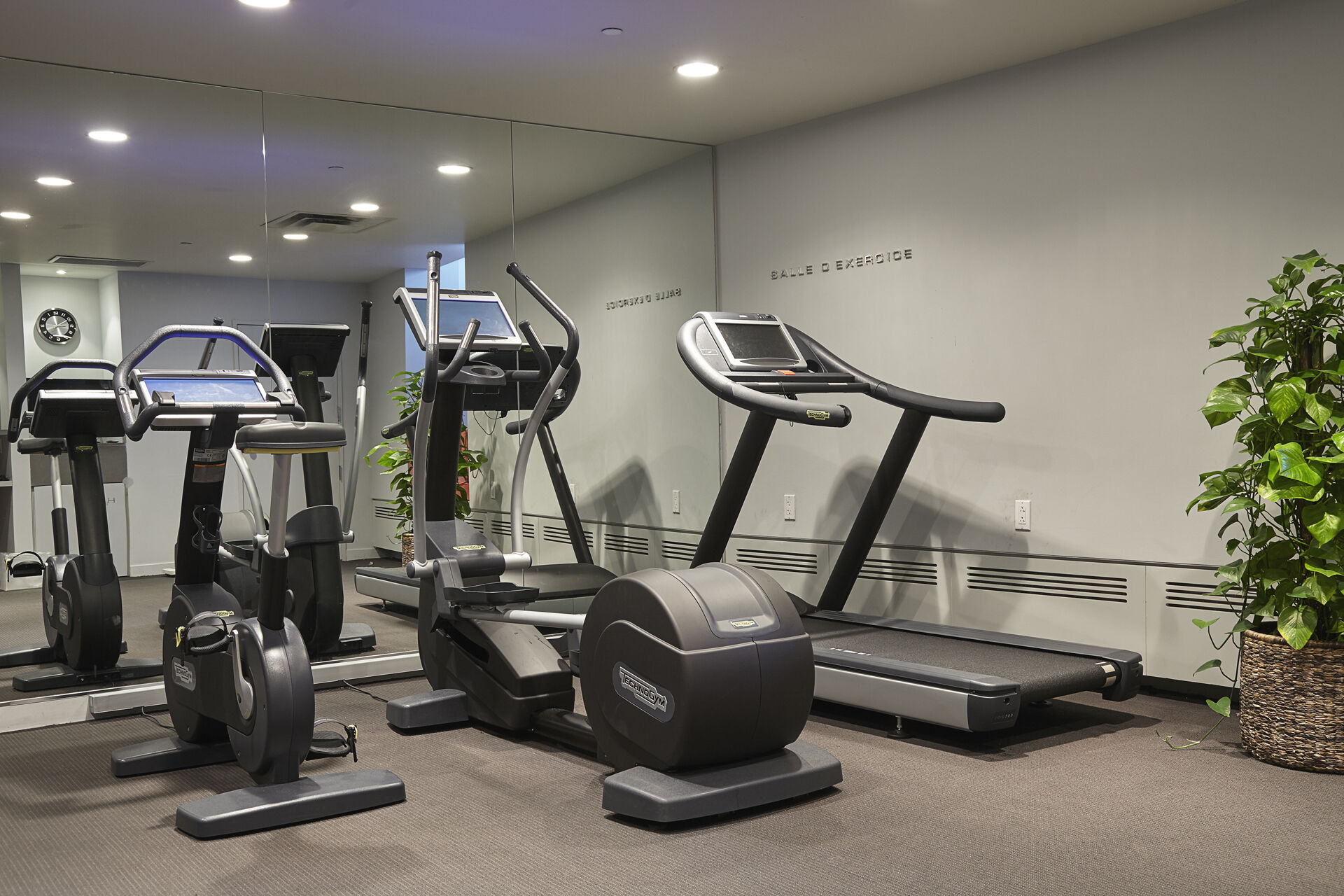 Hotel St Paul, Montreal, A Member Of Design Hotels Tiện nghi bức ảnh